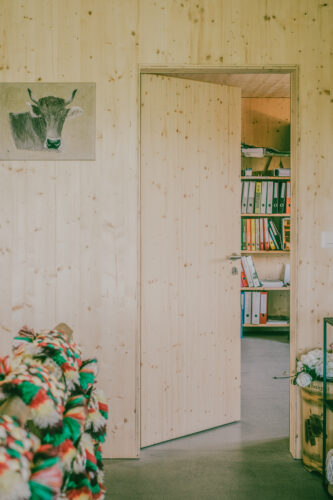 Timofust planwerk remo koller thrüen 2